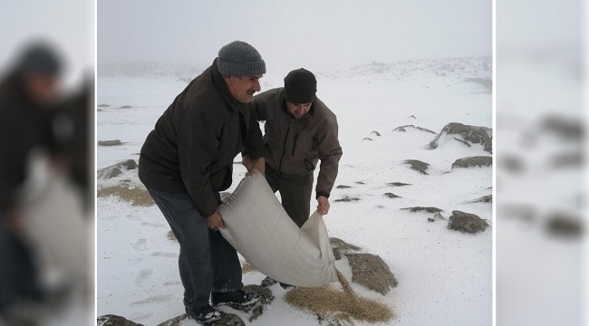 Karacadağ'da yaban hayvanları için doğaya yem bırakıldı