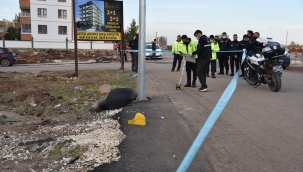 Siverek'te sepetli motosiklet kazası: Bir ölü 2 yaralı