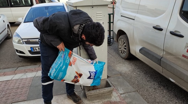 Siverek'te sokak hayvanları unutulmadı