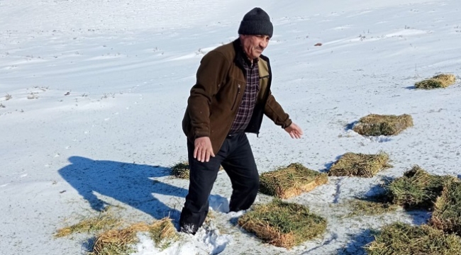 Karacadağ'da yaban hayvanları unutulmadı