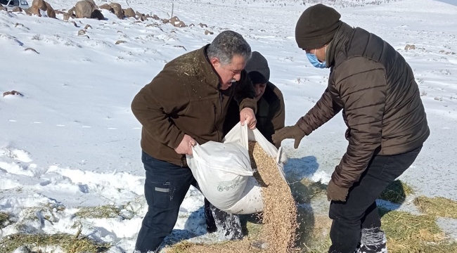 Karacadağ'da yaban hayvanları unutulmadı