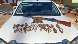 Şanlıurfa'da kaçak avlanan şahıs hakkında cezai işlem uygulandı