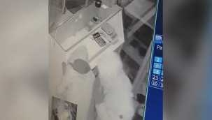 Siverek'te kuyumcuya giren hırsızlar alarm şoku yaşadı