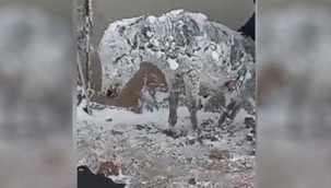 Siverek'te soğuktan dolayı buz tutan eşek kurtarıldı