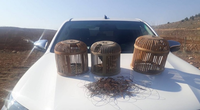 Şanlıurfa'da keklik avlayan 3 kişiye yaklaşık 17 bin lira para cezası kesildi
