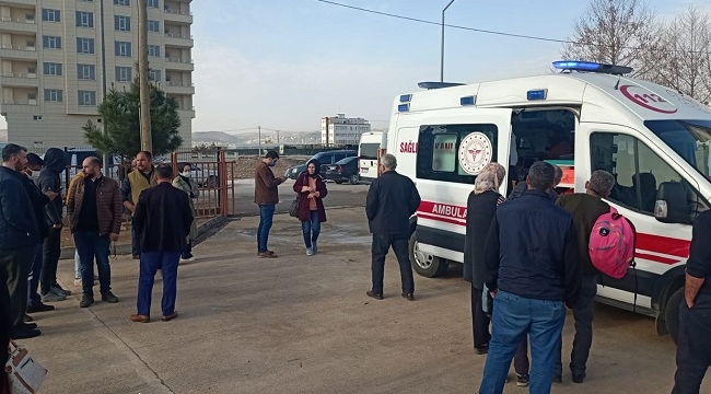 Şanlıurfa'da köpek dehşeti: 3 öğrenci yaralandı