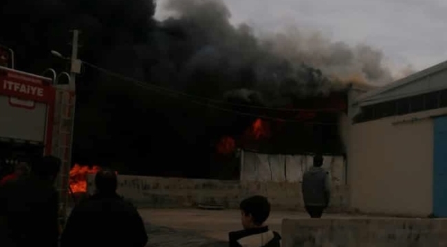 Şanlıurfa'da sünger fabrikasında yangın çıktı