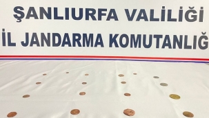 Siverek'te Roma dönemine ait tarihi eser ele geçirildi