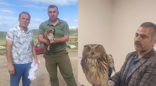 Şanlıurfa'da yaralı halde bulunan kuşlar tedavi altına alındı
