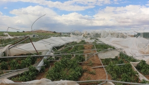 Suruç'ta hortum seralara zarar verdi