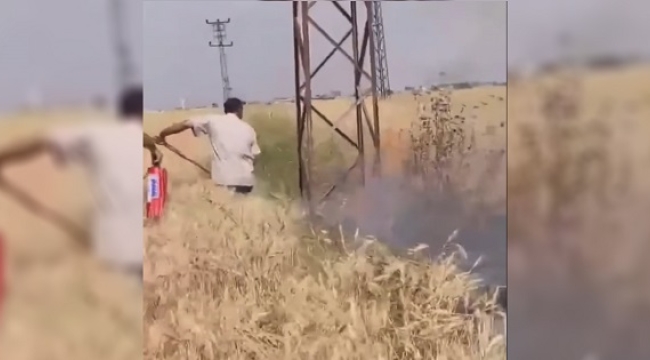 Şanlıurfa'da buğday tarlasında çıkan yangına yoldan geçen sürücüler müdahale etti