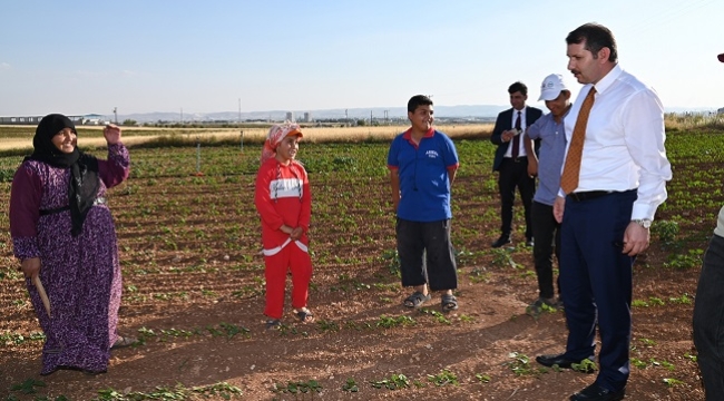 Şanlıurfa Valisi Ayhan pamuk tarlasında çalışan tarım işçilerini ziyaret etti