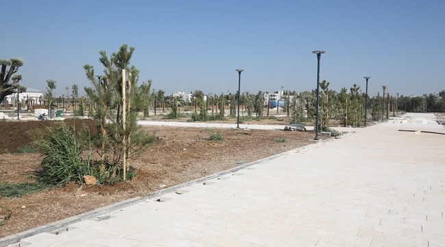 Eyyübiye Millet Bahçesi ağaçlandırması tamamlandı