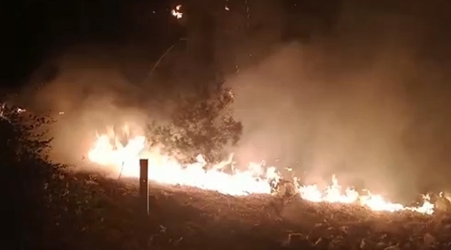 Şanlıurfa'da iki farklı noktada orman yangını