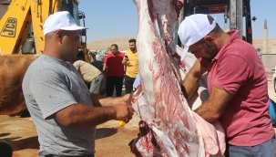 Şanlıurfa'da Umut Kervanı hayırseverlerin kurbanlarını kesmeye başladı