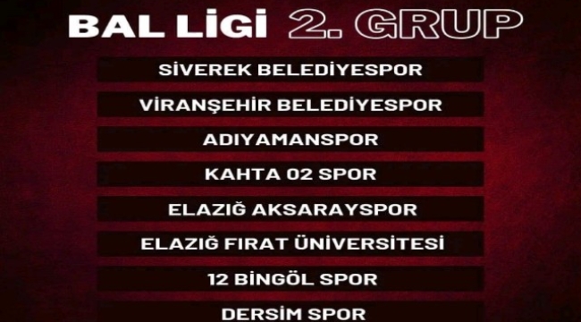 Siverek Belediyespor BAL Ligi 2'inci grupta mücadele verecek