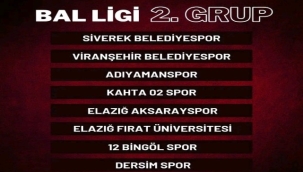 Siverek Belediyespor BAL Ligi 2'inci grupta mücadele verecek
