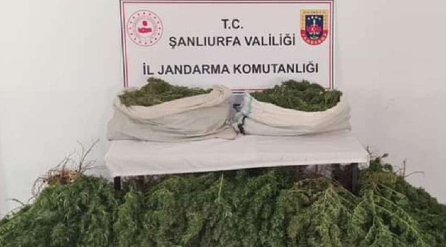 Şanlıurfa'da 23 kilogram esrar ele geçirildi 