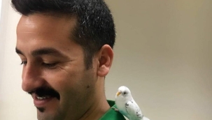 Siverekli sağlıkçı amansız hastalığa yenik düştü