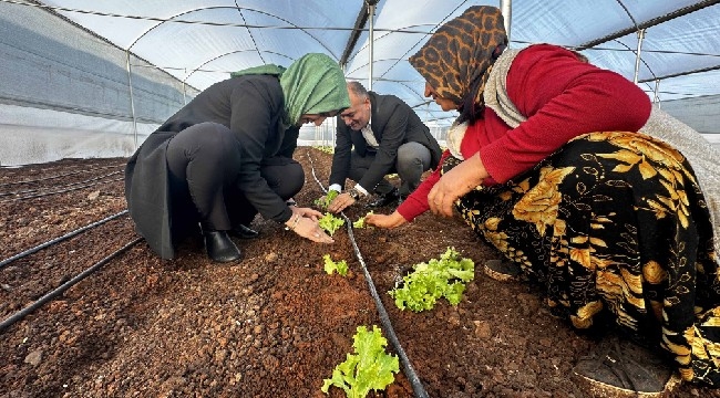 Başkan Çakmak, serada ilk sebze ürünlerinin ekimini yaptı