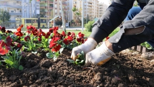 Haliliye ilçesinde peyzaj çalışmaları ile parklar yeşilleniyor