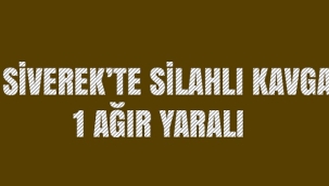 Siverek'te silahlı kavga:1 yaralı