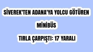 Siverek'ten Adana'ya yolcu götüren minibüs ile tır çarpıştı: 17 yaralı