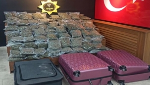 İnsanlık düşmanları depremde de boş durmadı: 5 gözaltı