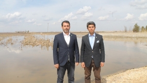 Özaslan: Suruç'ta taban suyunun yükselmesi mağduriyetlere neden oluyor