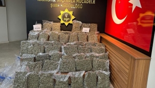 Şanlıurfa'da 53 kilo 750 gram skunk ele geçirildi