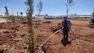 Yemyeşil bir Eyyübiye için çalışmalar sürüyor