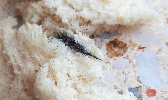 Siverek'te ekmeğin içinden fare kuyruğu çıktı!