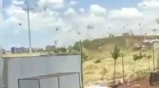 Siverek'te hortum paniği!
