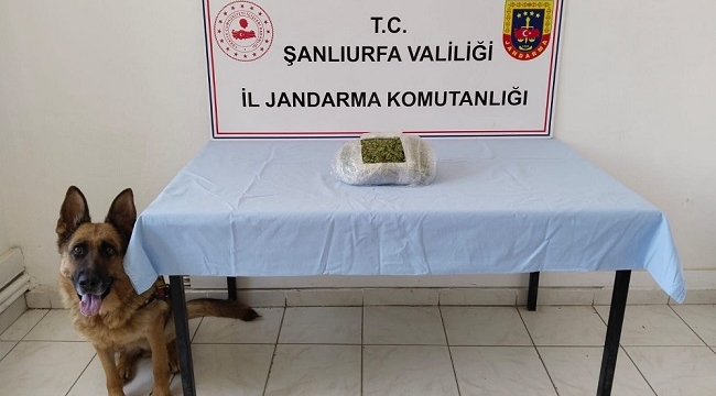 Şanlıurfa'da uyuşturucu operasyonu: 5 gözaltı