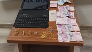 Siverek'te hırsızlık şüphelisi yakalandı