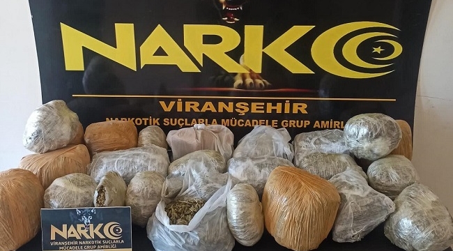 Şanlıurfa'da 26 bin 600 gram skunk ele geçirildi
