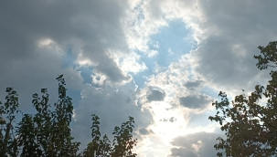 Siverek kırsalında yılın ilk yağmuru yağdı