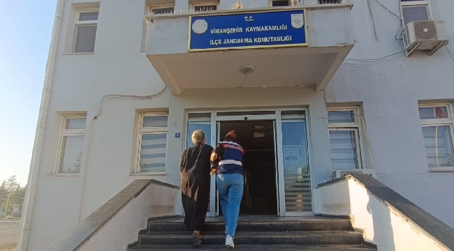 Viranşehir yolu üzerinde işlenen cinayette azmettirici ölen şahsın eşi çıktı