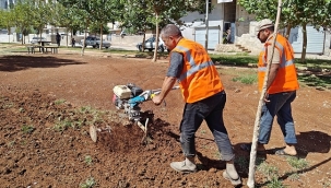 Eyyübiye Parklarında Sonbahar Çalışması