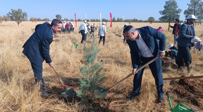 Siverek’te Cumhuriyetin 100. yılı anısına fidan dikildi