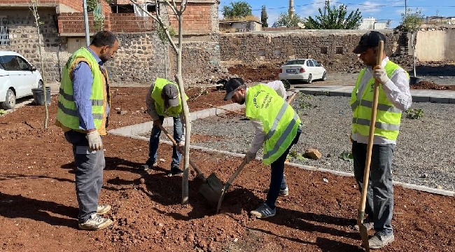 Siverek'te park ve yeşil alanı olmayan mahalle kalmayacak