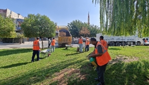 Yemyeşil Eyyübiye İçin Çalışıyorlar