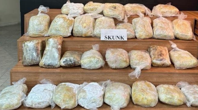 Şanlıurfa'da 43 kilo 700 gram uyuşturucu ele geçirildi