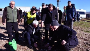 Siverek'te katma değeri olan fidanlar toprakla buluştu