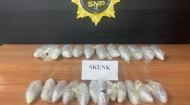Şanlıurfa'da 8 kg skunk ele geçirildi