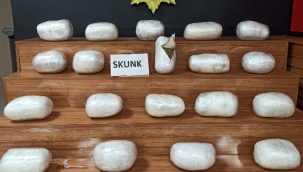 Şanlıurfa'da 20 kg skunk ele geçirildi 
