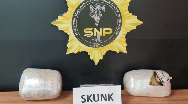 Şanlıurfa'da 4 kg skunk ele geçirildi