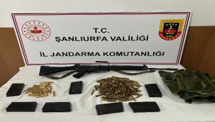 Siverek'te çok sayıda silah ele geçirildi