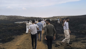 Karacadağ'daki yangında arı kovanları zarar gördü