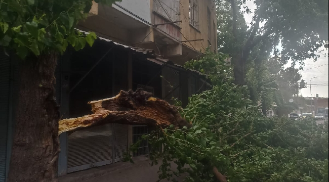 Siverek'te fırtına hayatı olumsuz şekilde etkiledi